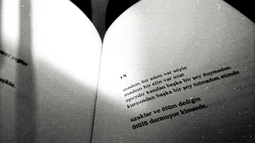 op.79: ”hariç” şiire ”dahil”