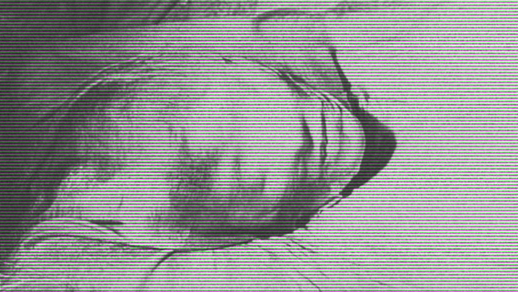 op.99: fen çiçekleri