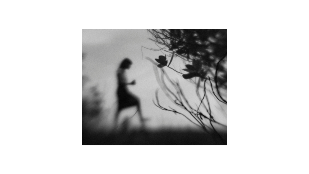 op.113:  *saf olmayan bir ayaklanma kadar&nbsp;güzel