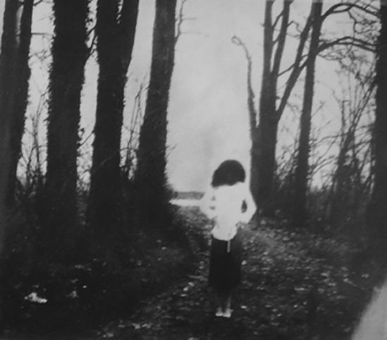 op.168: meva yağmur,&nbsp;gregor