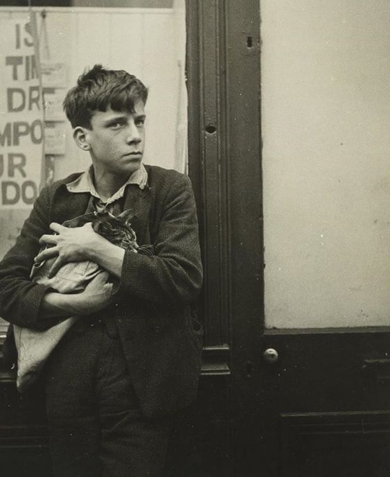 op.182: hazar izgi, reklamlar