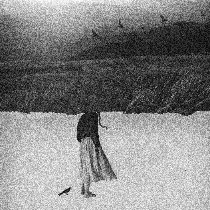 op.206: sevda altınkaya, soydağı*