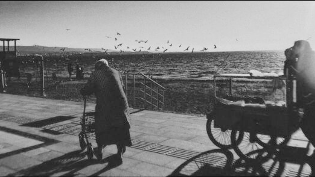 op.214: çağla nalbantoğlu, tanıdık ve soğuk*