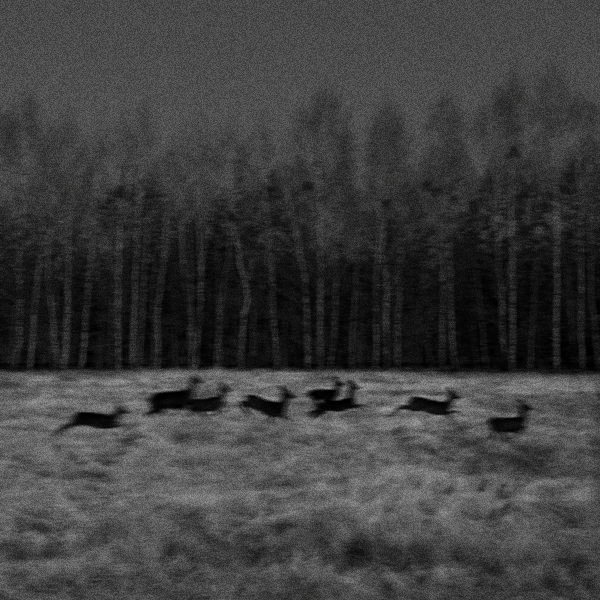 op.207: bilgehan tuğrul, öpüşen geyikler de vardır*