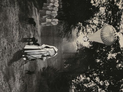 op.221: elif burcu özkan, sanrısal*