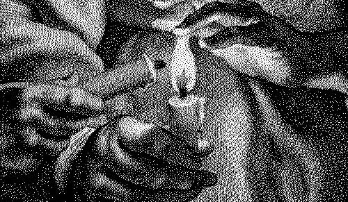 op.235: aykut akgül,&nbsp;silemiyoruz*