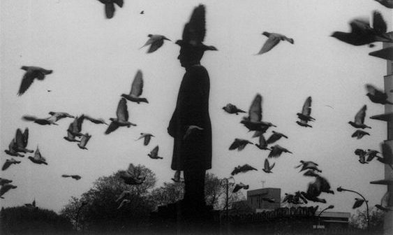 op.258: mehmet can çelikkol, çok canım&nbsp;sıkılıyor*