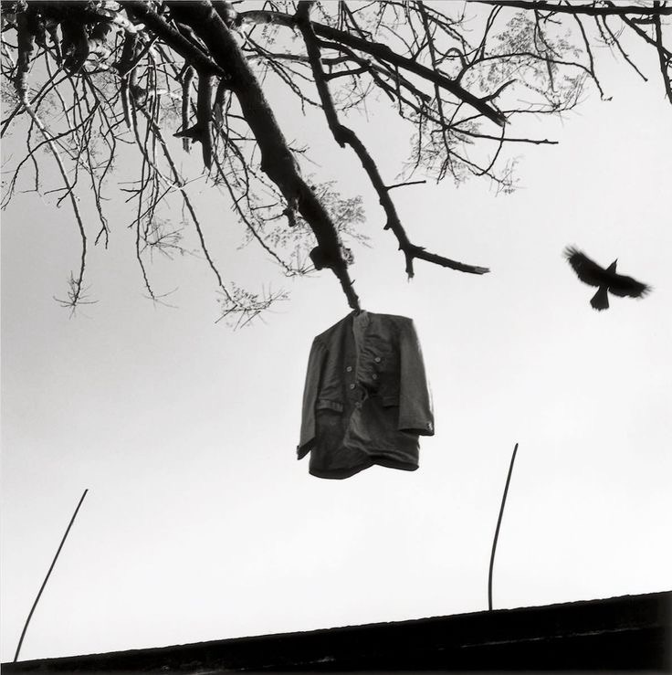 op.270: adem üren,&nbsp;chanteur*