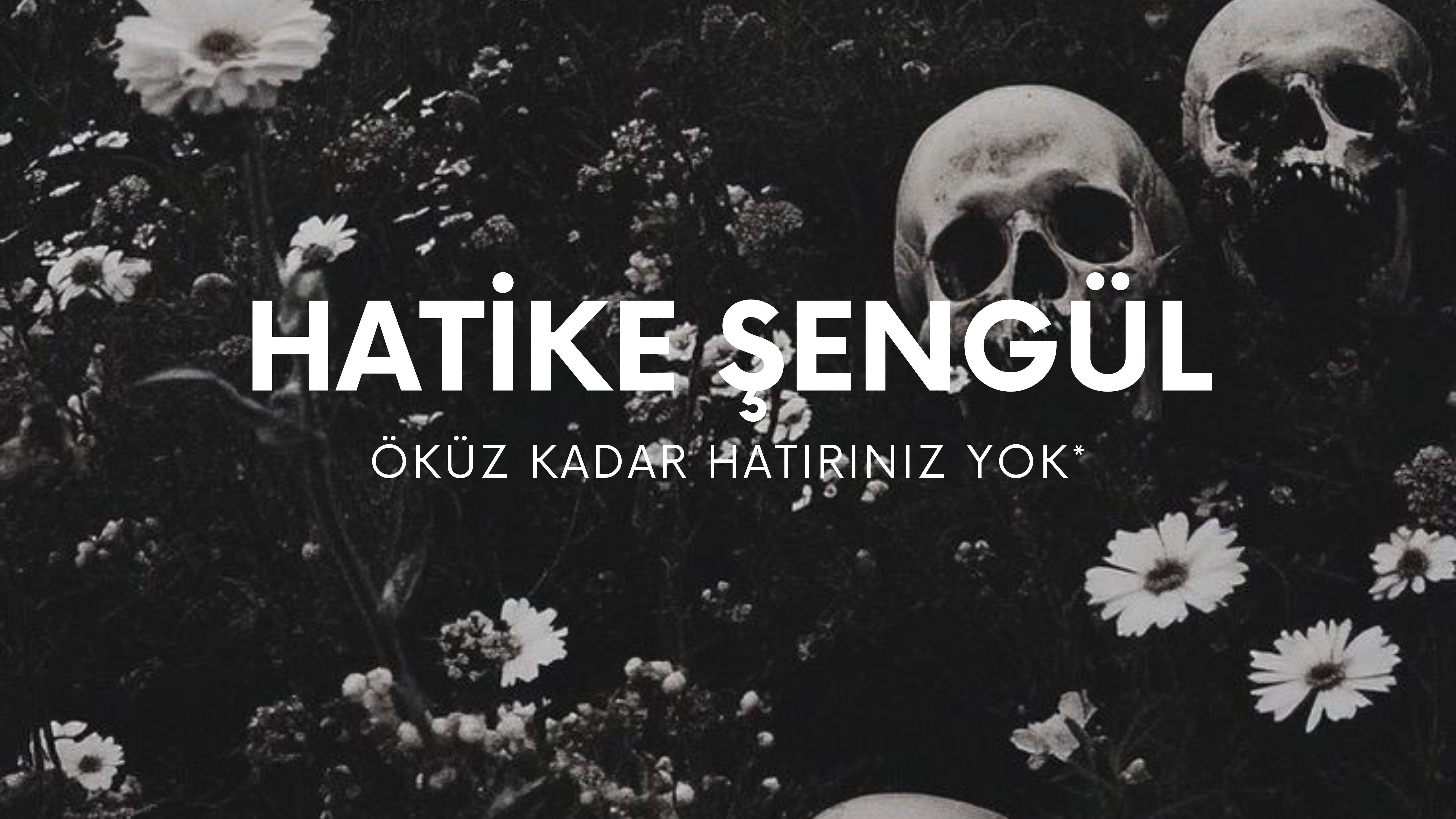 op.404: hatike şengül – öküz kadar hatırınız yok*