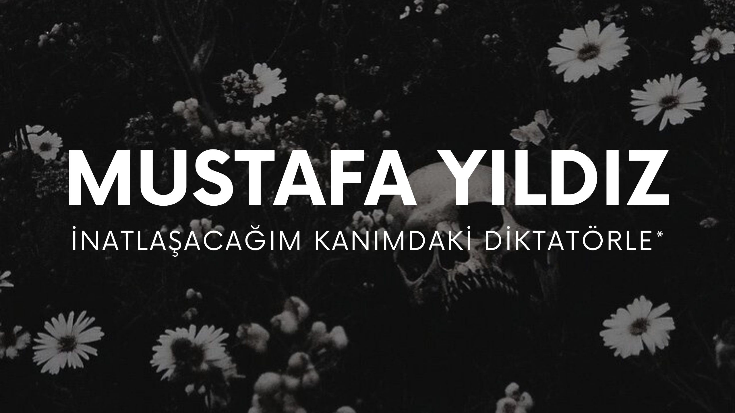 OP.414: Mustafa yıldız – inatlaşacağım kanımdaki diktatörle*
