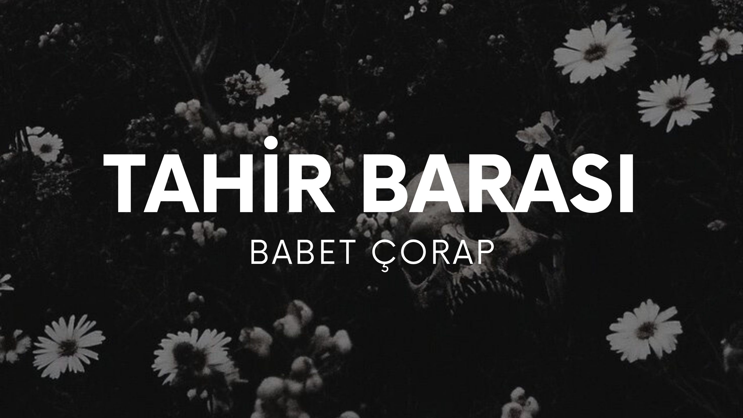 op.427: tahir barası – babet çorap*