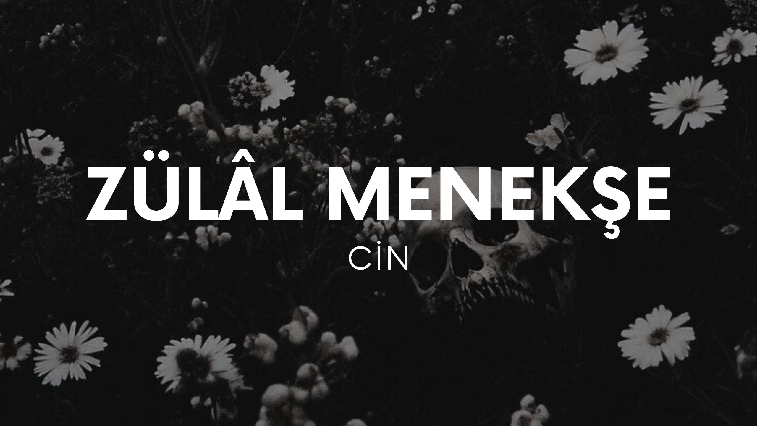 op.426: zülâl menekşe – cin*