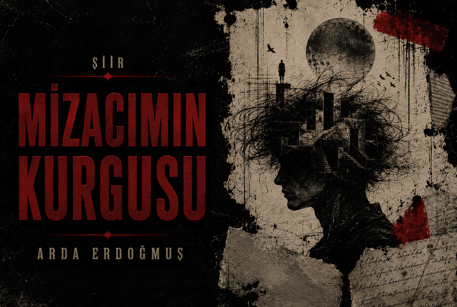 OP.431: arda erdoğmuş – mizacımın kurgusu*