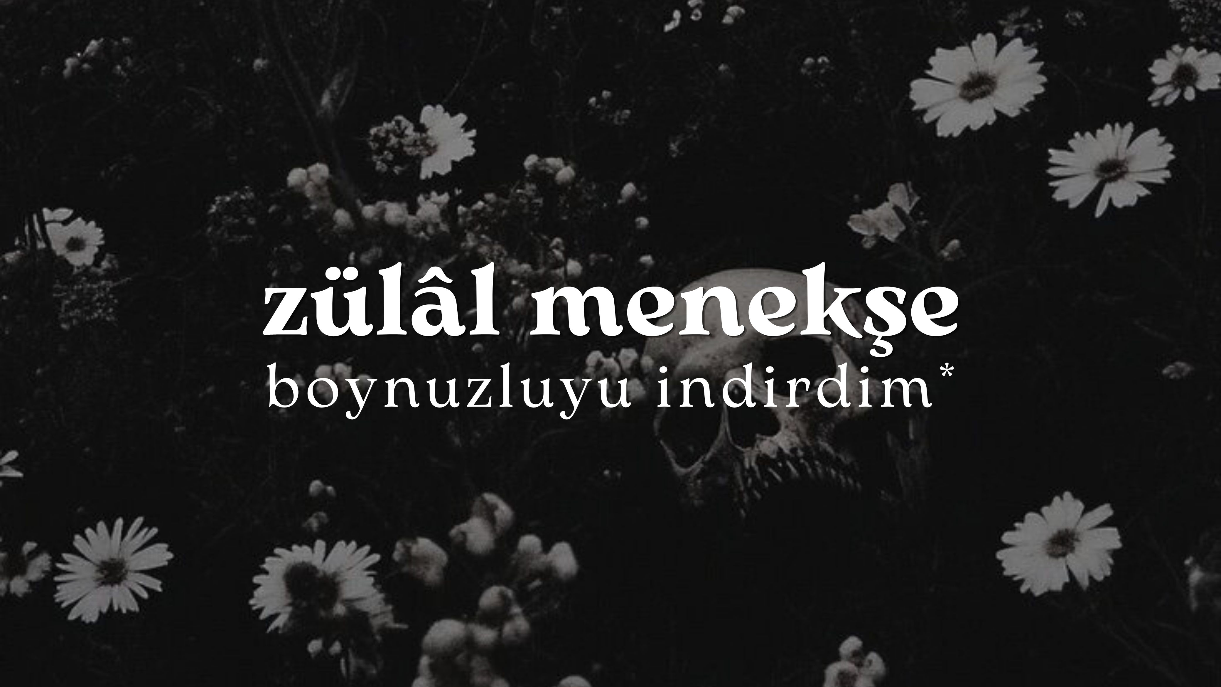 op.462: zülâl menekşe – boynuzluyu indirdim*